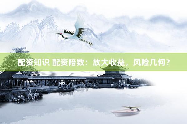 配资知识 配资陪数：放大收益，风险几何？