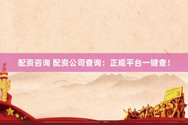 配资咨询 配资公司查询：正规平台一键查！