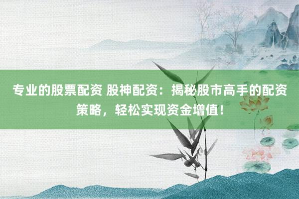 专业的股票配资 股神配资:揭秘股市高手的配资策略,轻松实现资金增值!