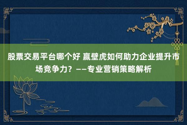 股票交易平台哪个好 赢壁虎如何助力企业提升市场竞争力?——专业营销策略解析