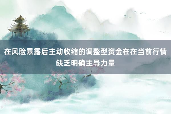 在风险暴露后主动收缩的调整型资金在在当前行情缺乏明确主导力量