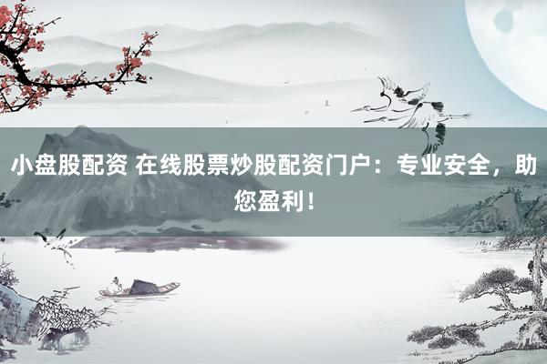 小盘股配资 在线股票炒股配资门户：专业安全，助您盈利！