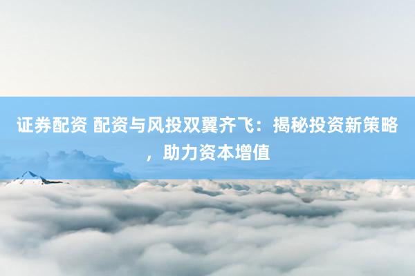 证券配资 配资与风投双翼齐飞:揭秘投资新策略,助力资本增值