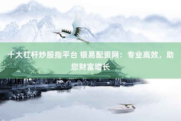 十大杠杆炒股指平台 银易配资网：专业高效，助您财富增长